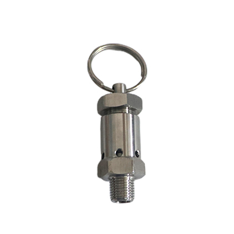 1/2 INCH 1/4 INCH NPT Thread Safety Valves Stainless Steel 304/316L 3 bar MINI Pressure Relief Valve