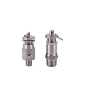 Sanitary Safety Valve Stainless Steel 304 Boiler Pressure Relief Valve Food Grade NPT Thread MINI Relief Valve