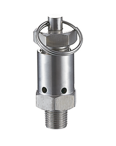 1/2 INCH 1/4 INCH NPT Thread Safety Valves Stainless Steel 304/316L 3 bar MINI Pressure Relief Valve