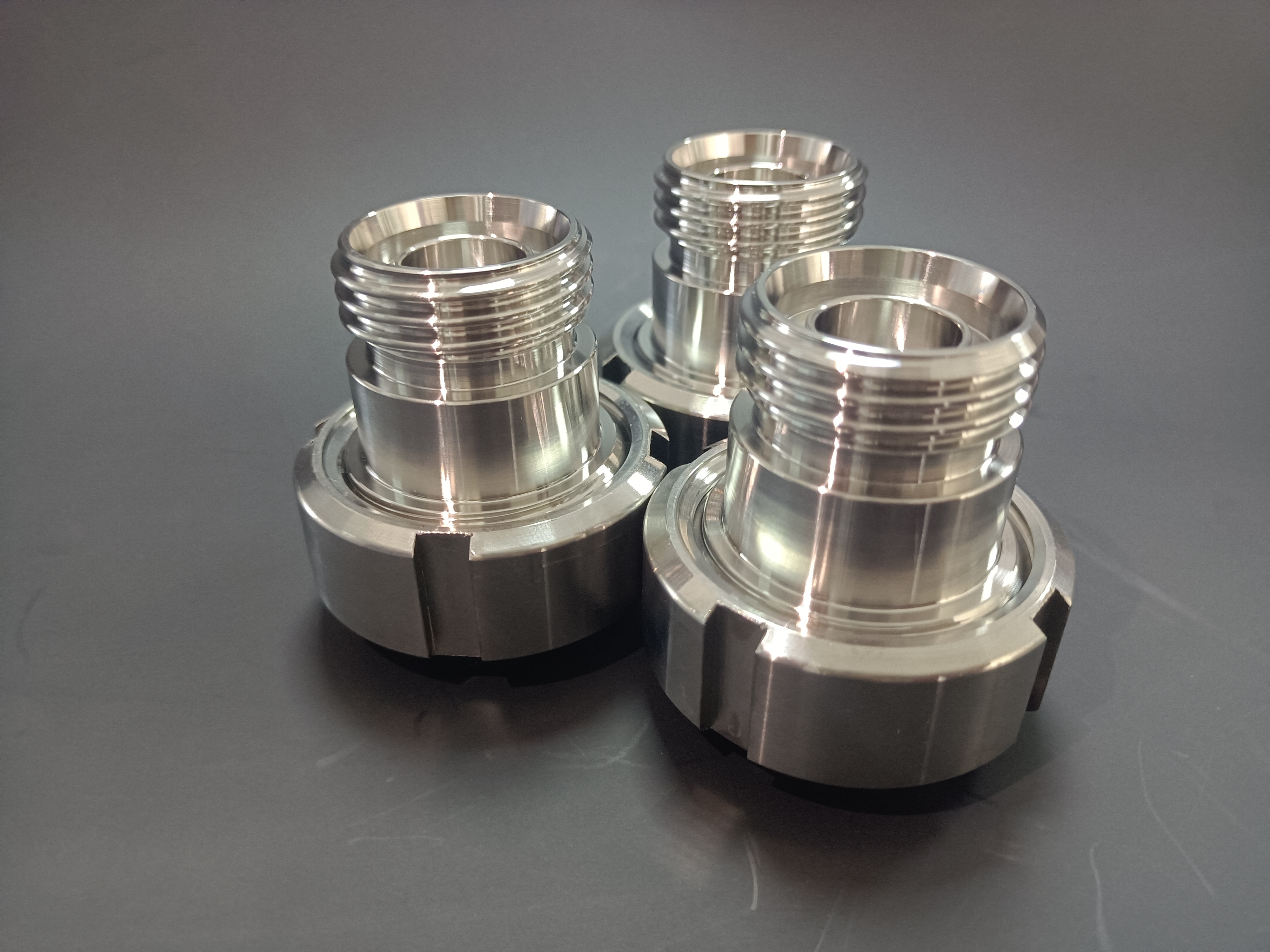 Stainless Steel 304/316L Union Check Valve Non Return Valve